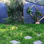 Ardilla * La Adrada