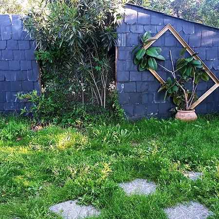 Ardilla * ラ・アドラダ